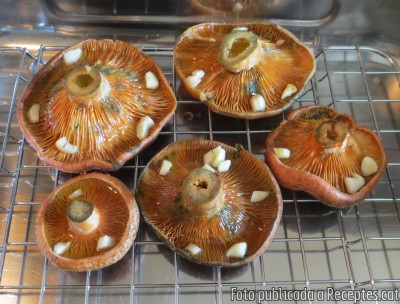 Rovellons, dels pins d’en Mir d’Arenys de Munt, gratinats al forn amb all