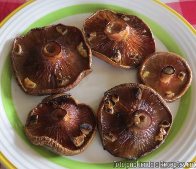 Rovellons, dels pins d’en Mir d’Arenys de Munt, gratinats al forn amb all
