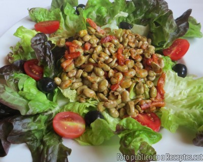 Amanida de favetes saltejades amb cansalada viada fumada
