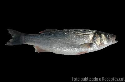 Recepta de cuina de Llop amb pesols