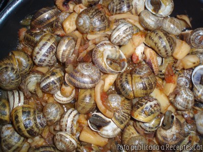 Recepta de cuina de Cargols amb sèpia i cansalada