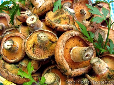 Recepta de cuina de Rovellons a la llauna