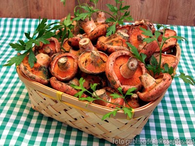 Recepta de cuina de Rovellons a la llauna