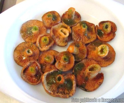 Recepta de cuina de Rovellons d'Arenys de Munt amb all i julivert