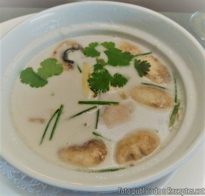 Recepta de cuina de Sopa de pollastre amb llet de coco