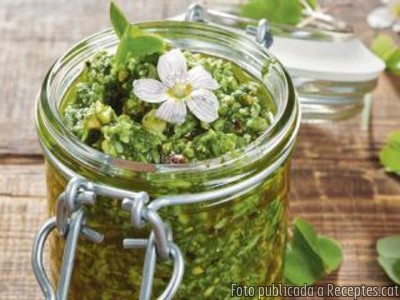 Pesto de trèvols del Bosc