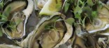 Ostres vives especials de Gillardeau
