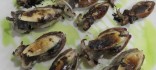 Sepietes a la bruta