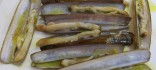 Navalles a la planxa