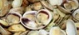 Xirles bullides amb salsa