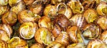 Cargols a la llauna