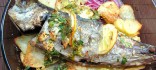 Sorell al forn