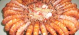 Còctel de llagostins