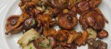 Saltejat de bolets