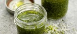 Pesto de fulles de fonoll