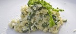 Risotto amb col rissada