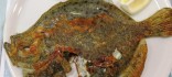 Turbot a la planxa amb patata al caliu